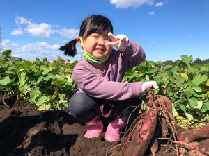 マイネッツキッズ_いもほり2021_9