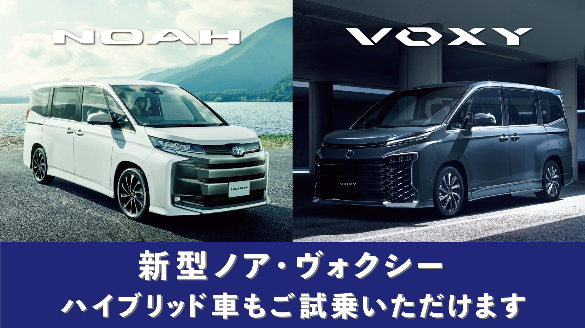新型ノア・ヴォクシー_展示試乗車のご案内_2_アイキャッチ用