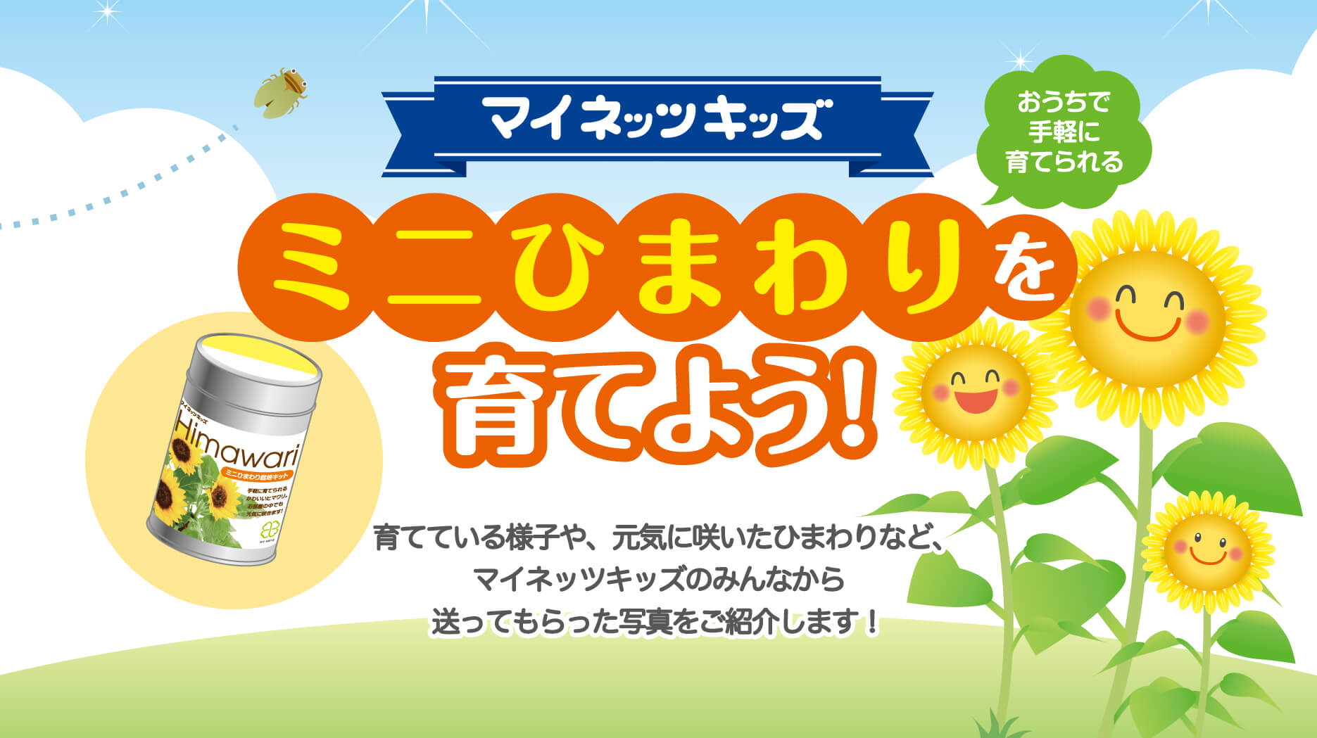マイネッツキッズ_ひまわり_2_202206